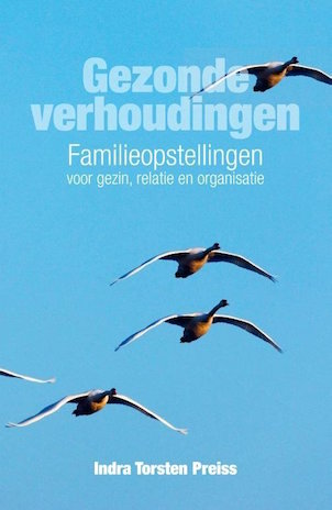 Gezonde verhoudingen Afbeelding van het boek Gezonde verhoudingen