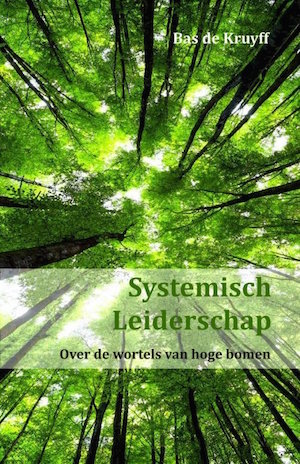 Afbeelding van het boek Systemisch Leiderschap door Bas de Kruyff