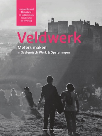 Veldwerk Afbeelding van het boek Veldwerk