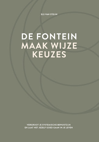 Afbeelding van het boek De fontein, maak wijze keuzes