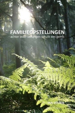 Familieopstellingen Afbeelding van het boek Familieopstellingen