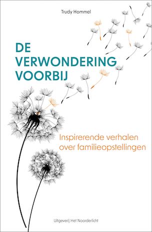 De verwondering voorbij Afbeelding van het boek De verwondering voorbij