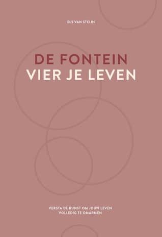 Afbeelding van het boek De fontein, vier je leven