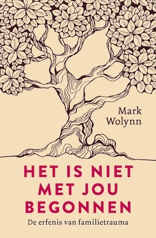 Afbeelding van het boek Het is niet met jou begonnen
